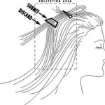 hair analysis sample collection, hair analysis report